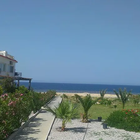 Apartament 3 Plus 1 In *